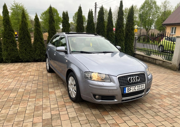 Audi A3 cena 19800 przebieg: 192000, rok produkcji 2007 z Zgierz małe 137
